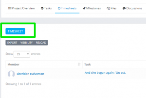 project timesheets